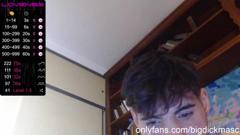 bigdick_masc  26-12-2022